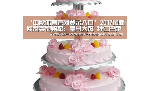 中欧体育官方网站最新版