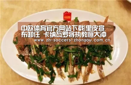 中欧体育官方网站下载|里皮宣布卸任 卡纳瓦罗将执教恒大冲击亚冠冠军(图)