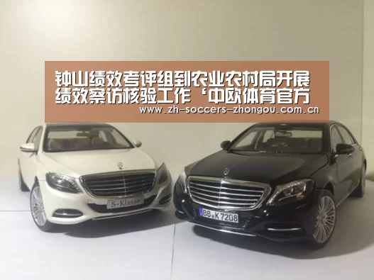 中欧体育官网登录入口
