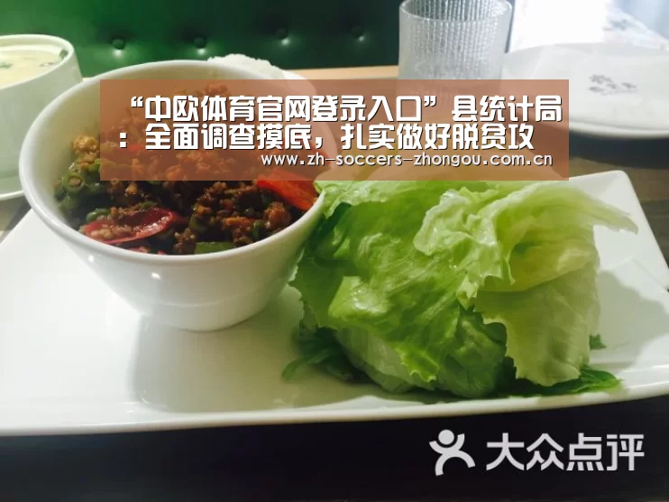 中欧体育官网登录入口