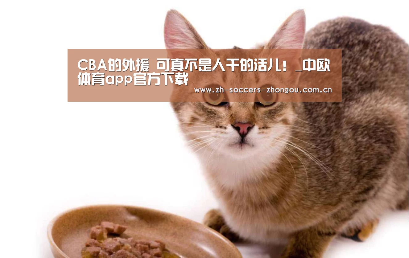 中欧体育官方网站最新版