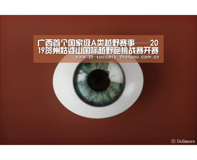 中欧体育官方网站最新版